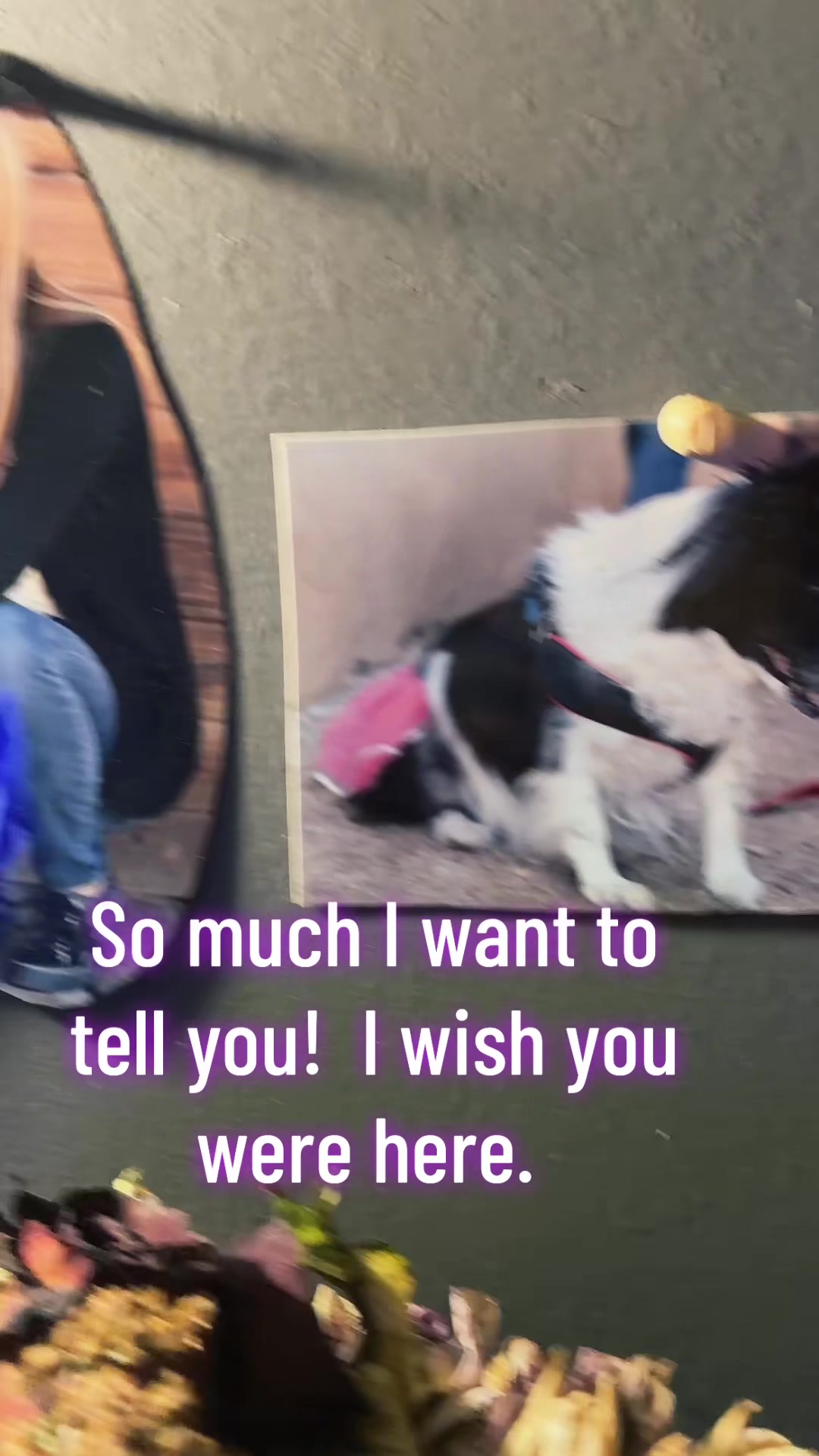 @Chrissy