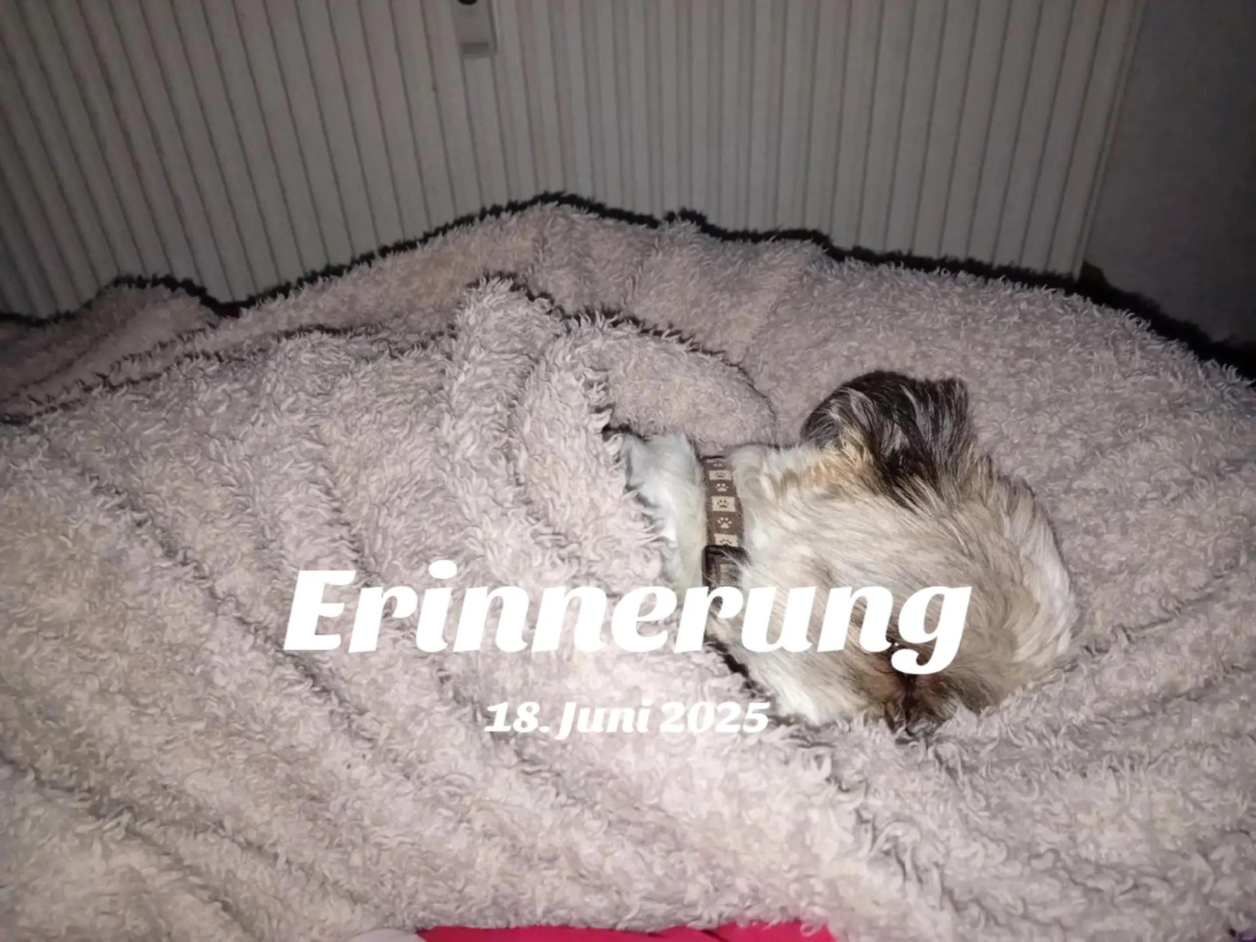 @Leonie Maus590