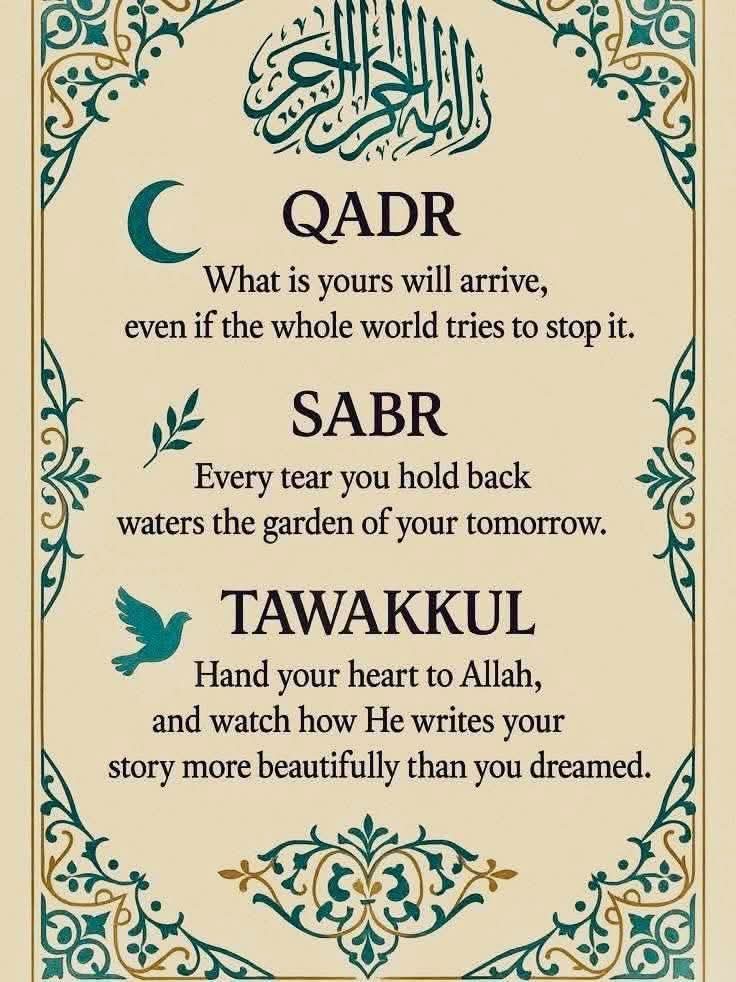 @Zarqa Imran Official