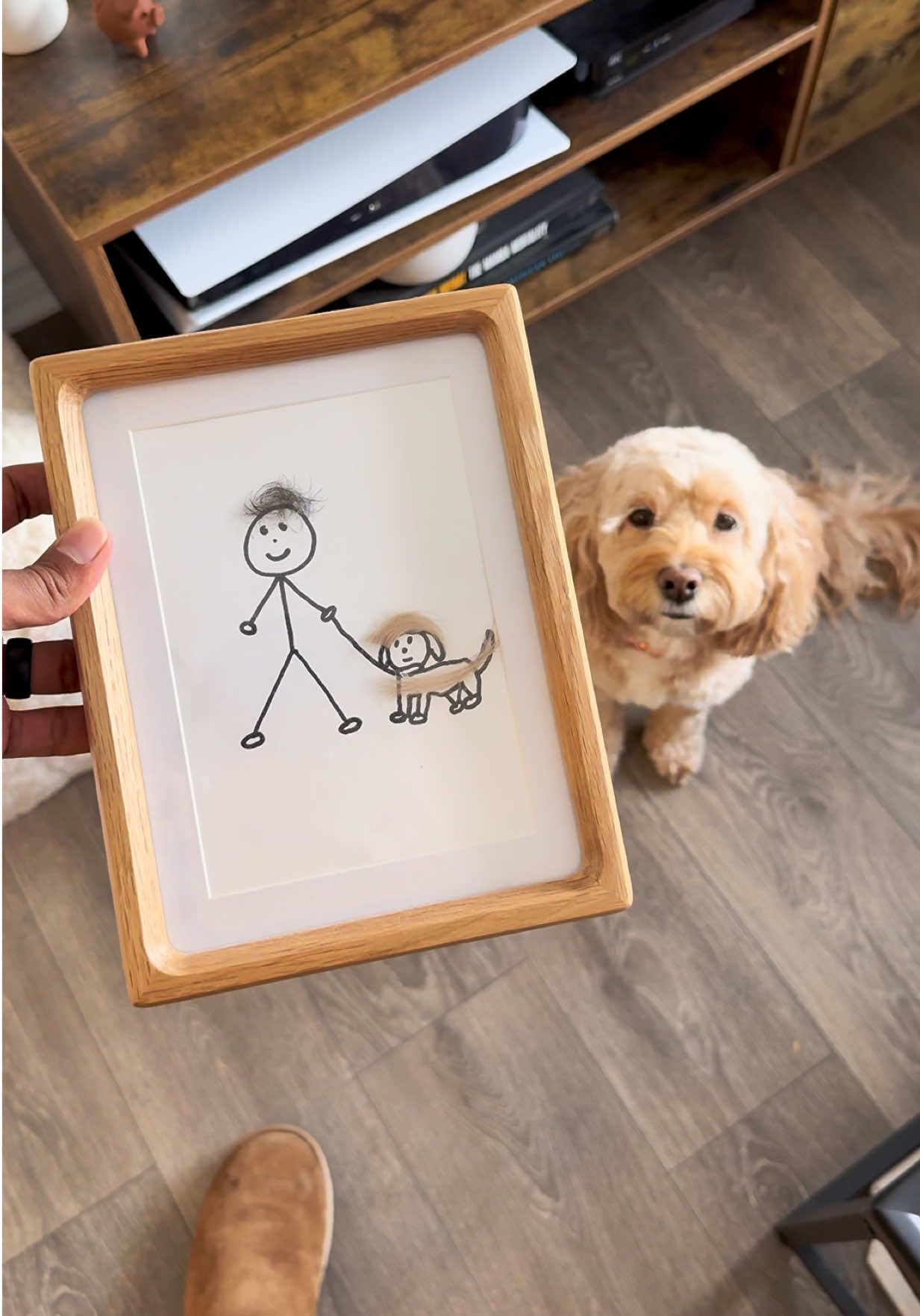 @LunaTheMiniCockapoo