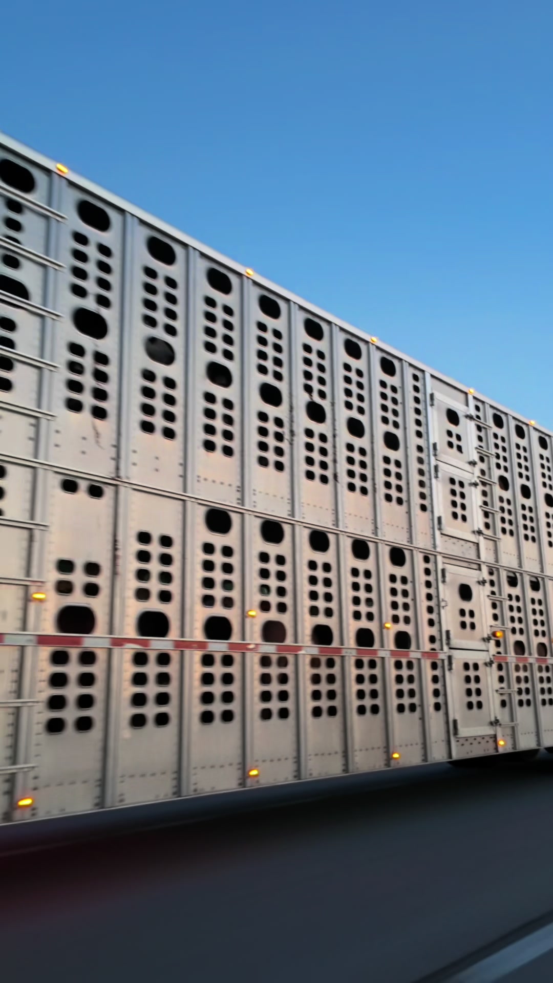 @jb_cattle