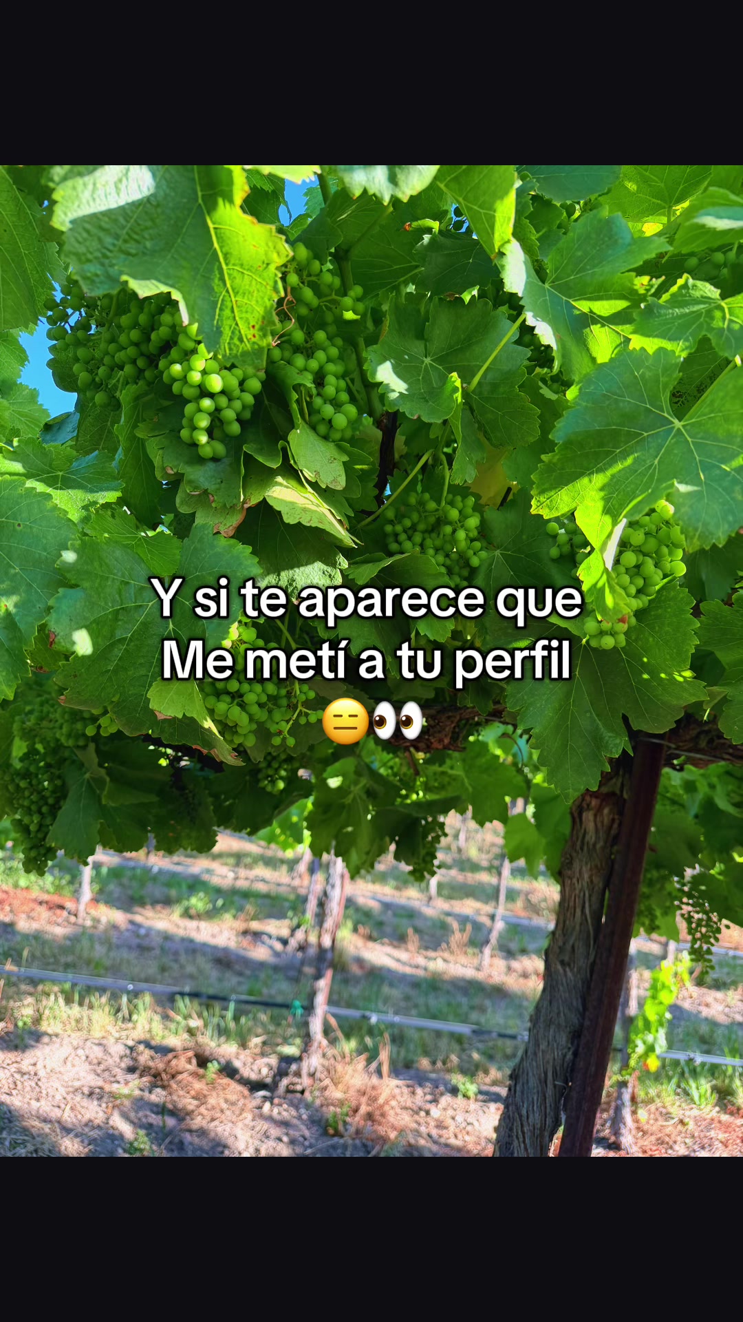 @Sandra Santiago