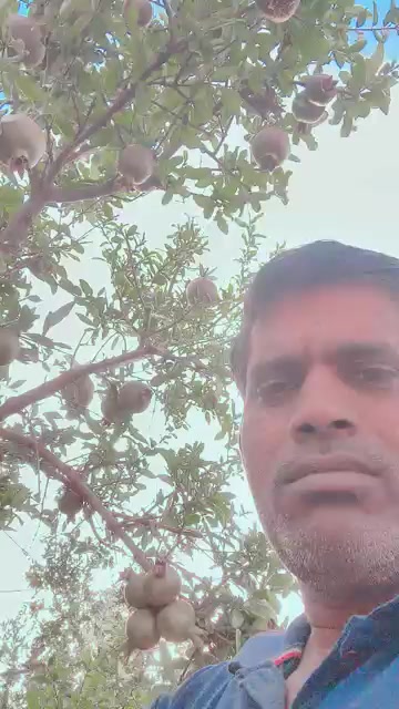 @Ashok kumar