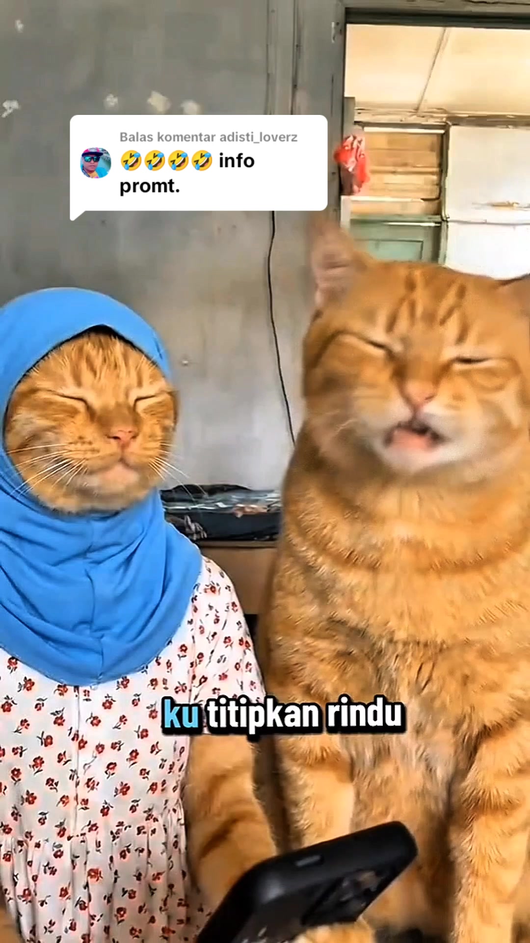 @Anibanis