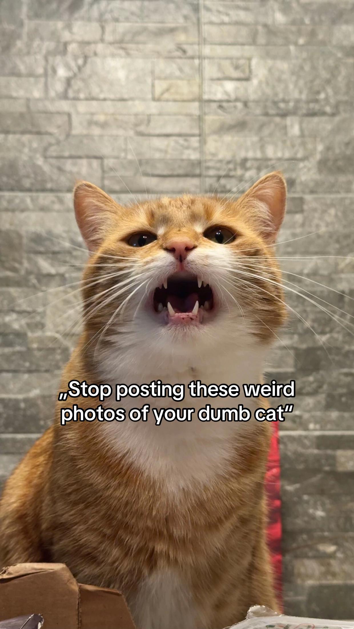 @𝐿𝑜𝑤𝑠 ᛑᛗᛛ