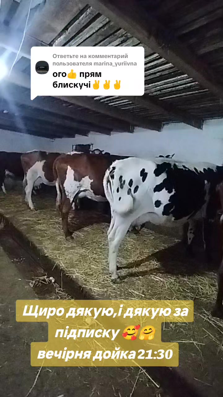 @Наталья Марченко