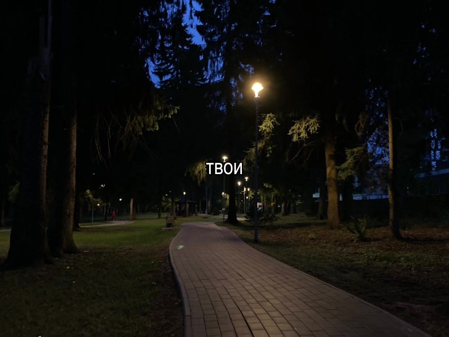 @звуки для липсингов///