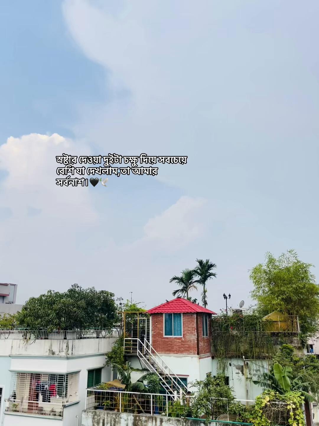 @𝗠 𝗔 𝗛 𝗜 𝗥 🖤🕊️