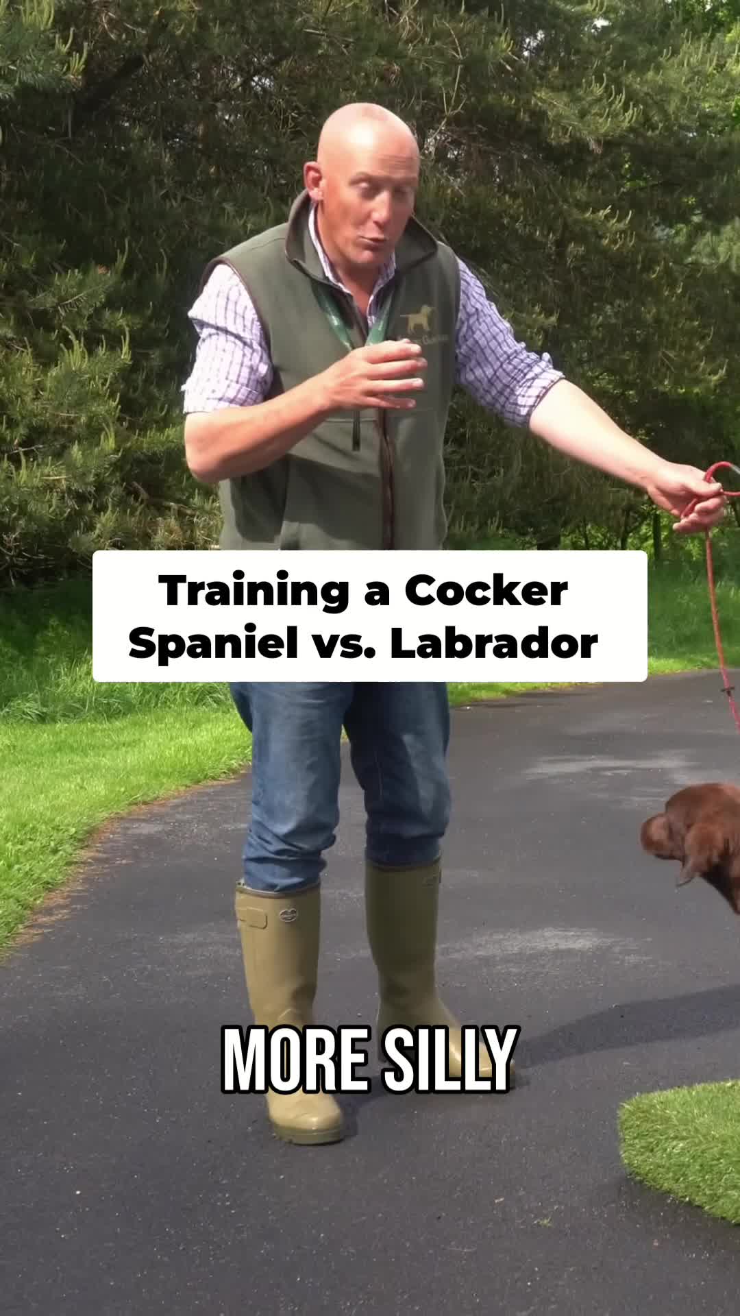 @Mordor Gundogs
