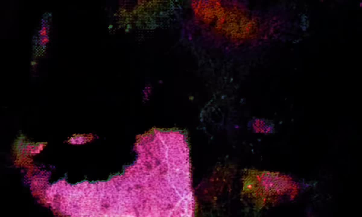 @★
