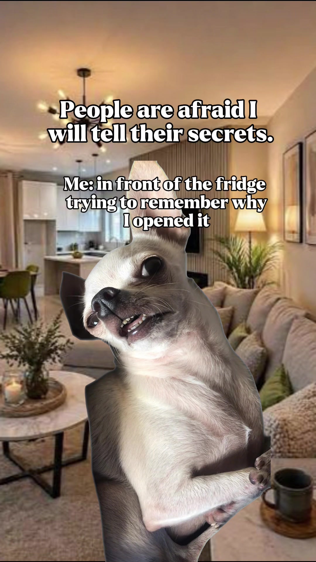 @Newinnovative Store