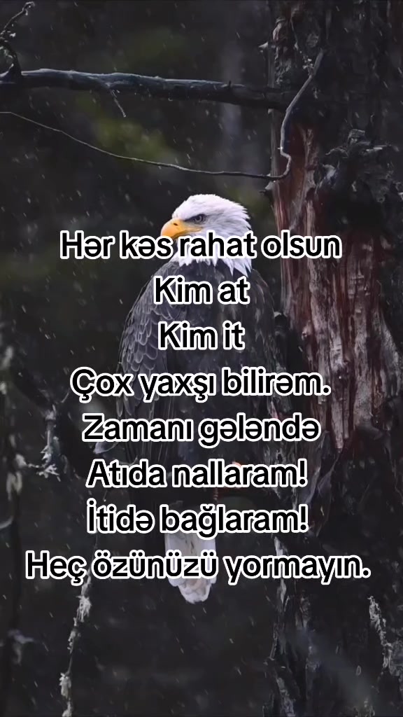 @Həsənova_Nərgiz