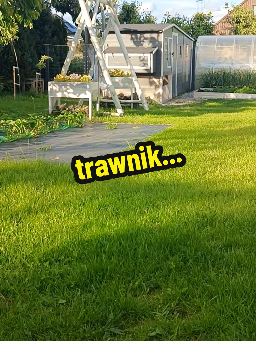 @Marcin ogrodnik