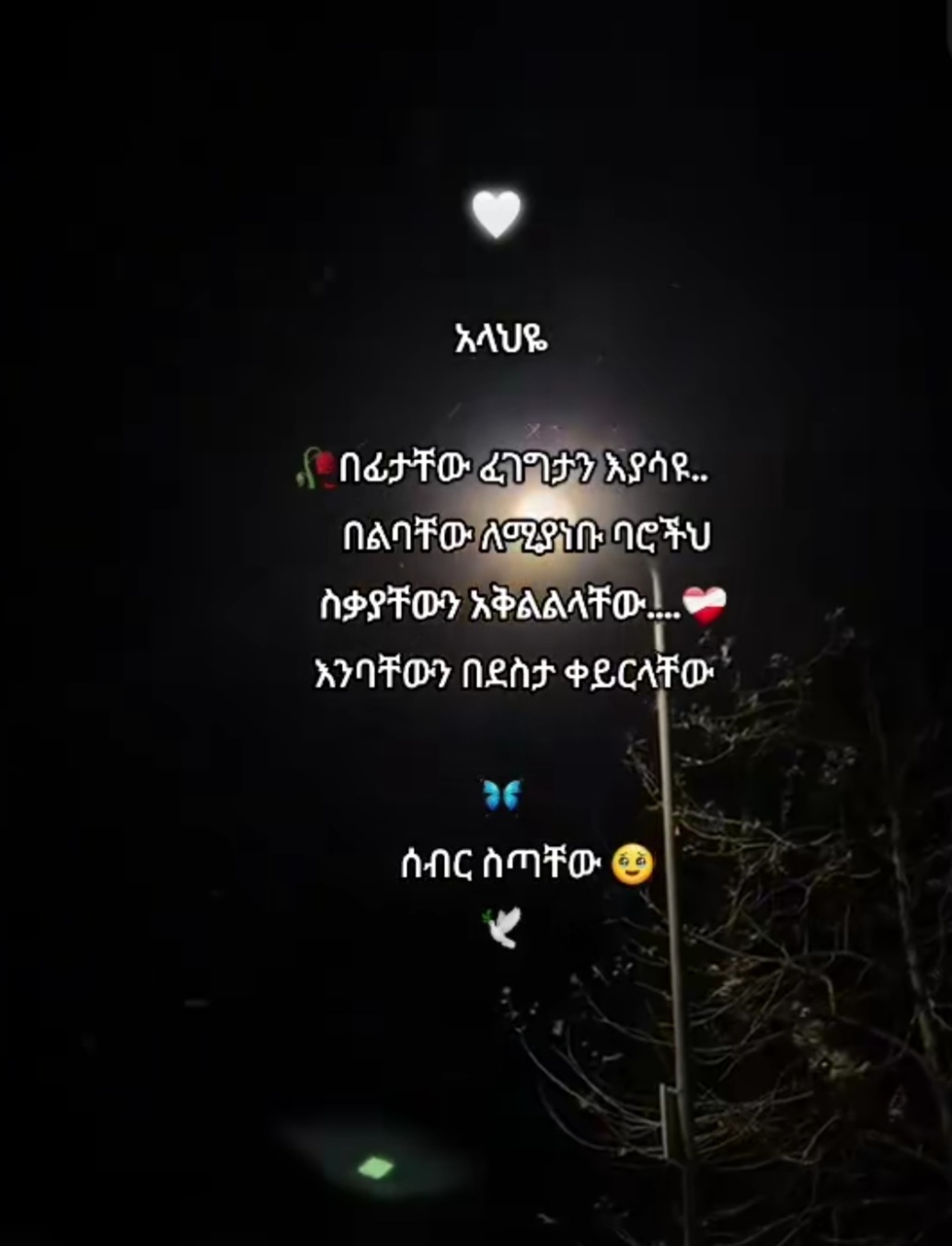 @🤳ካሜራ ማን🤸&zwj;♂️📷🐝🐝🐝🐝
