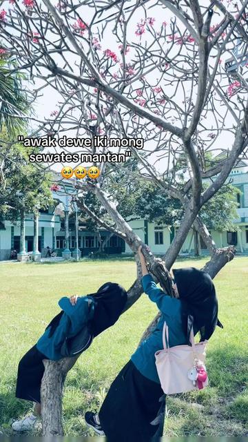 @Xl-AKL
