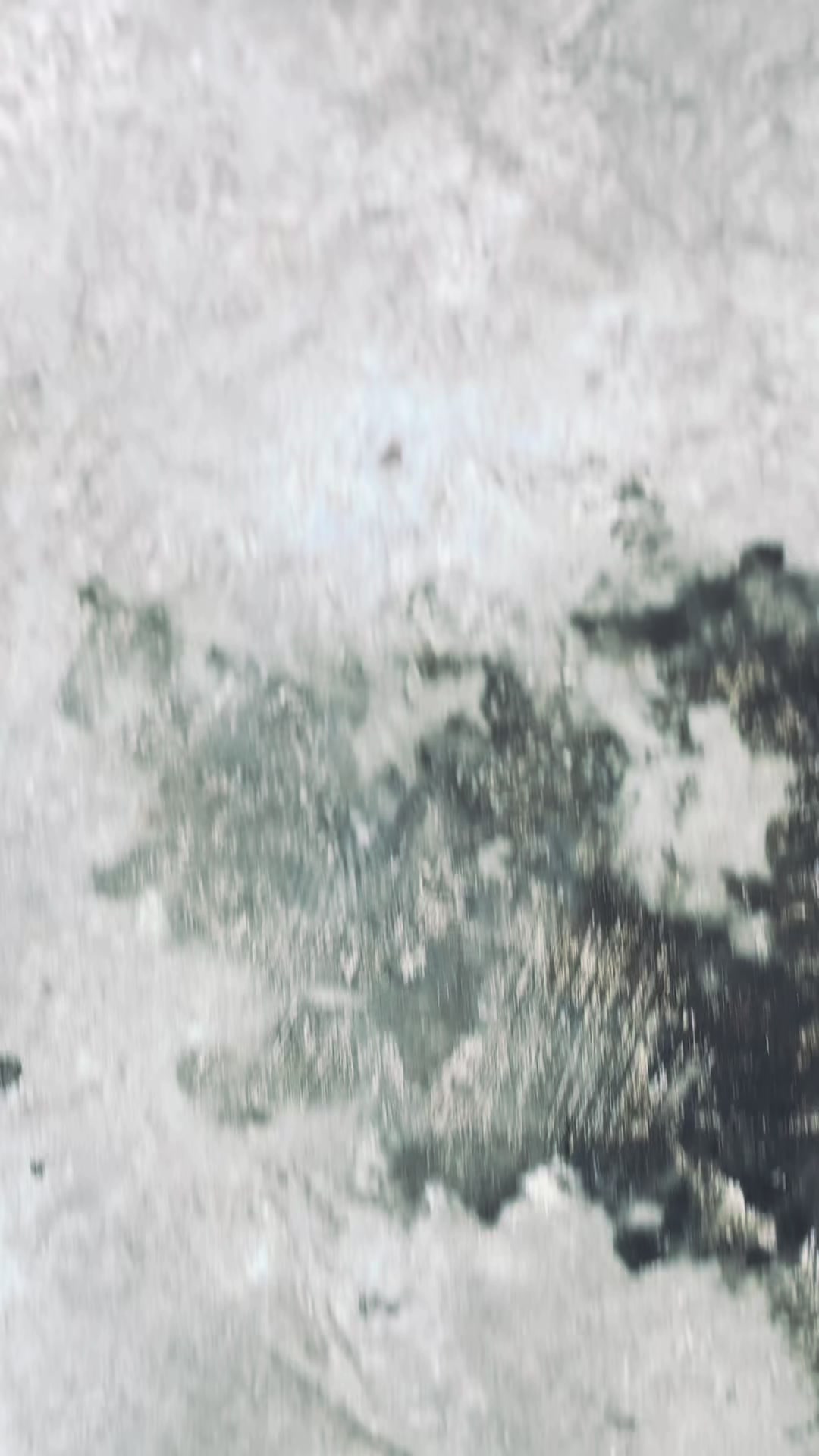 @E🕊️