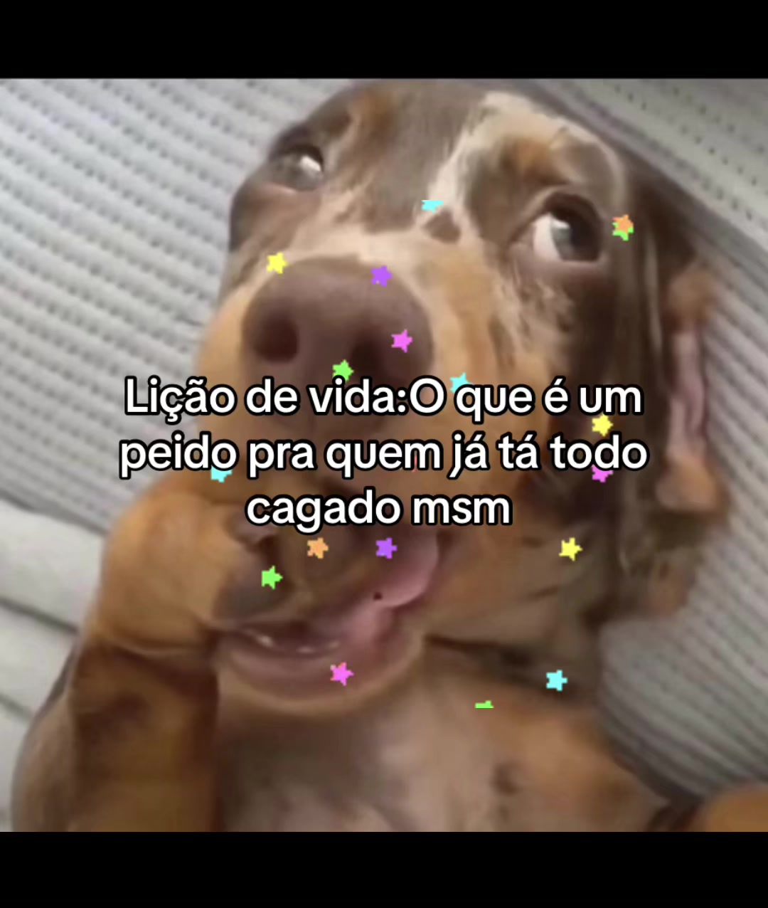@Cuscuz at&ocirc;mico ꪆৎ
