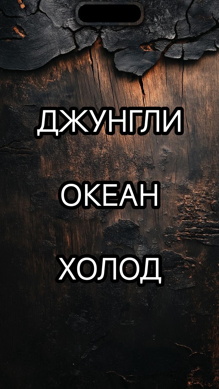 @KINOshka