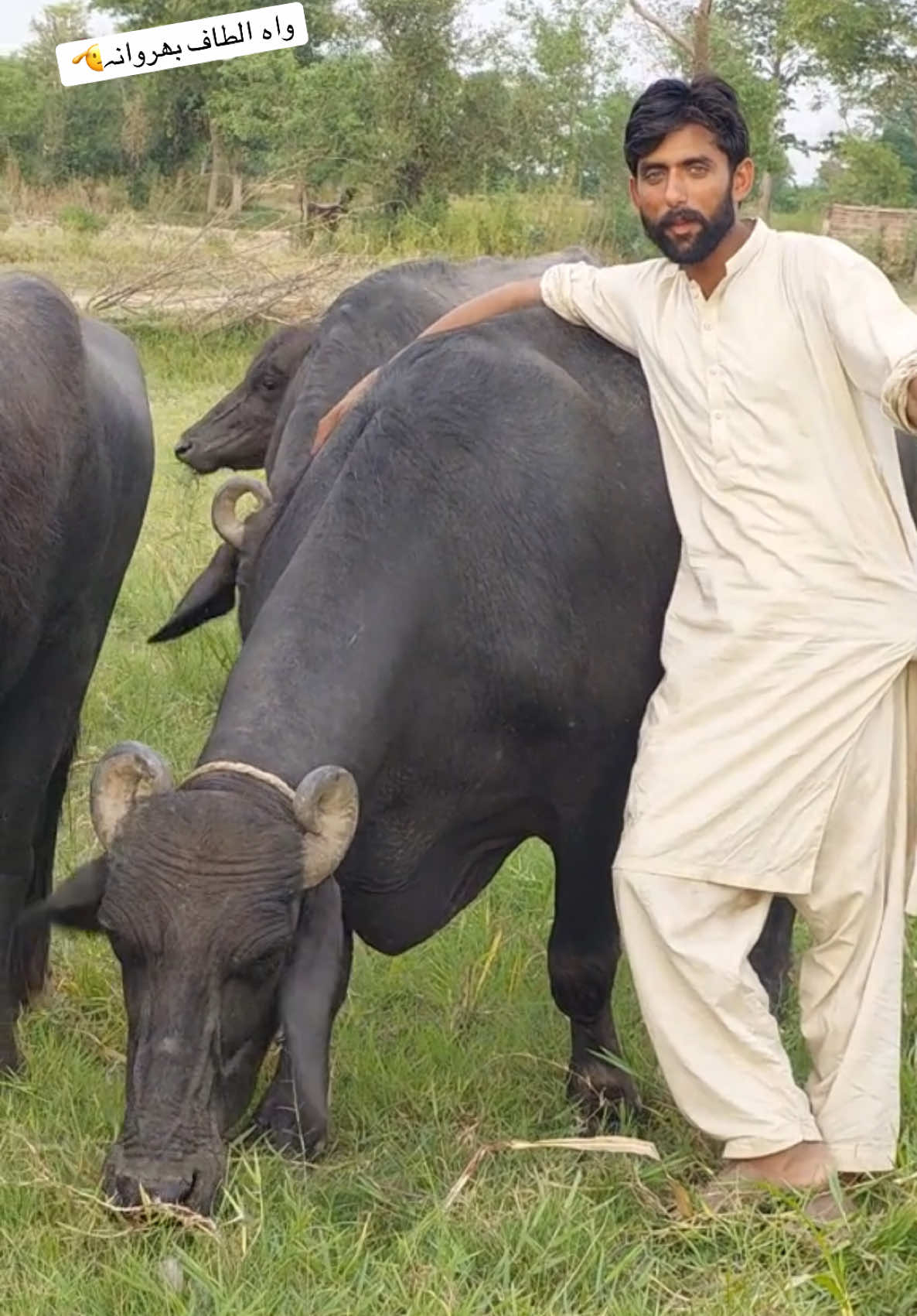 @میاں سلیمان بھرگڑ &hearts;️👑