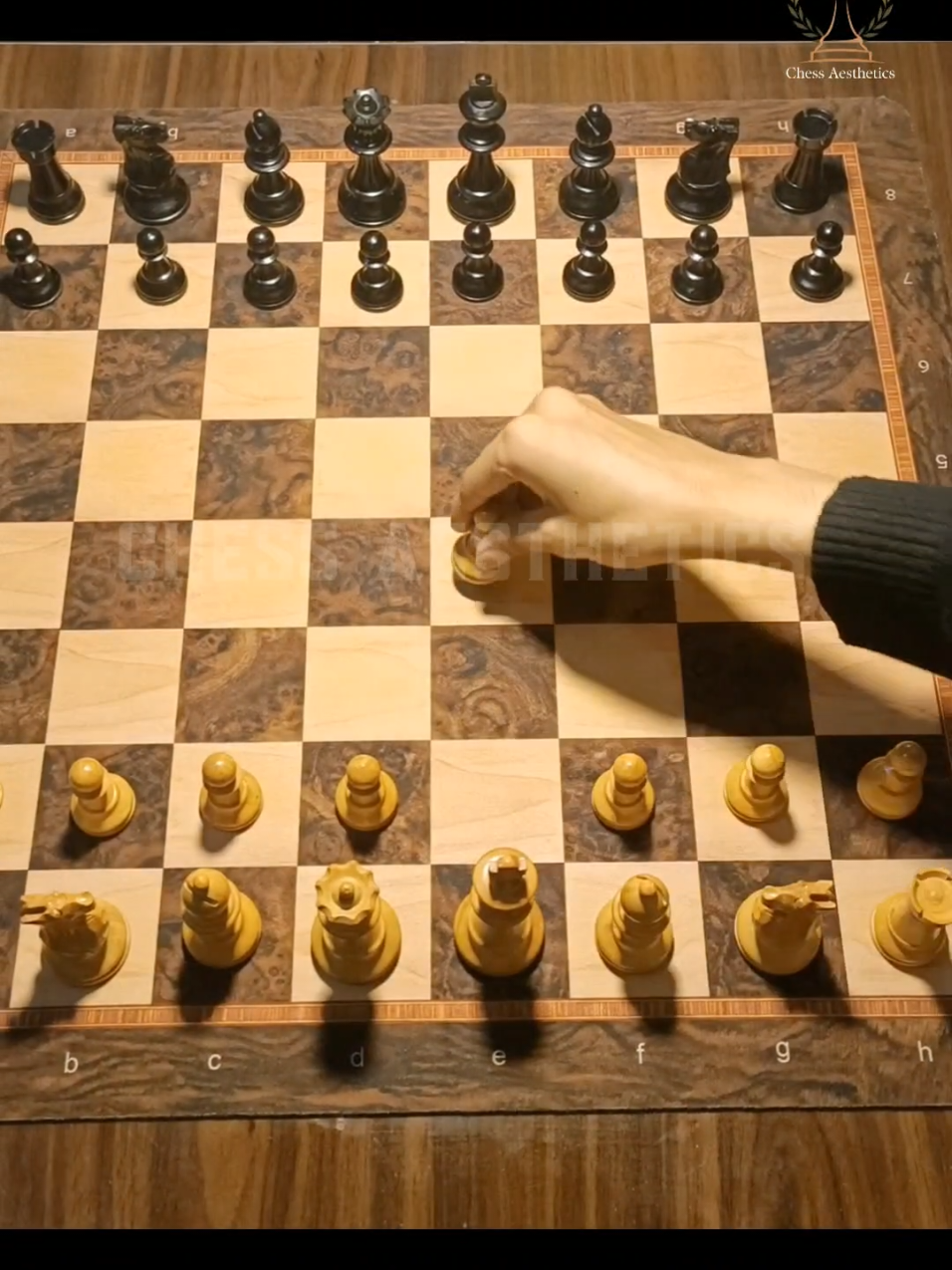 @Chess Aesthetics