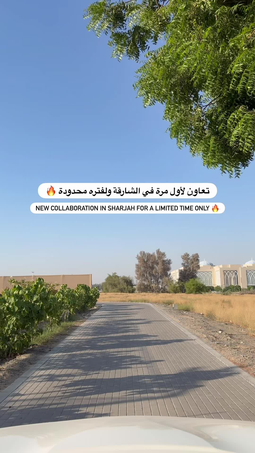 @uaeblog1
