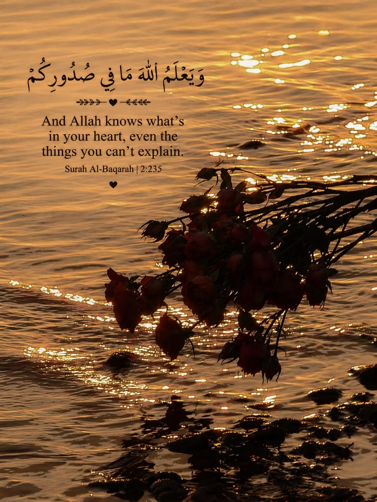 @Islamic._reminders_2
