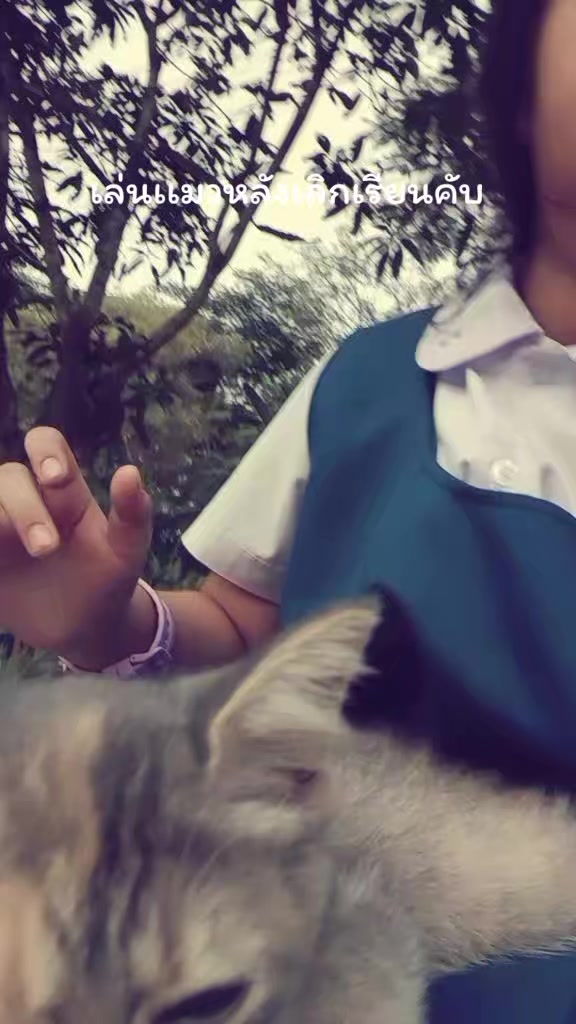 @อันชันรักแมว🐱🐱🐱