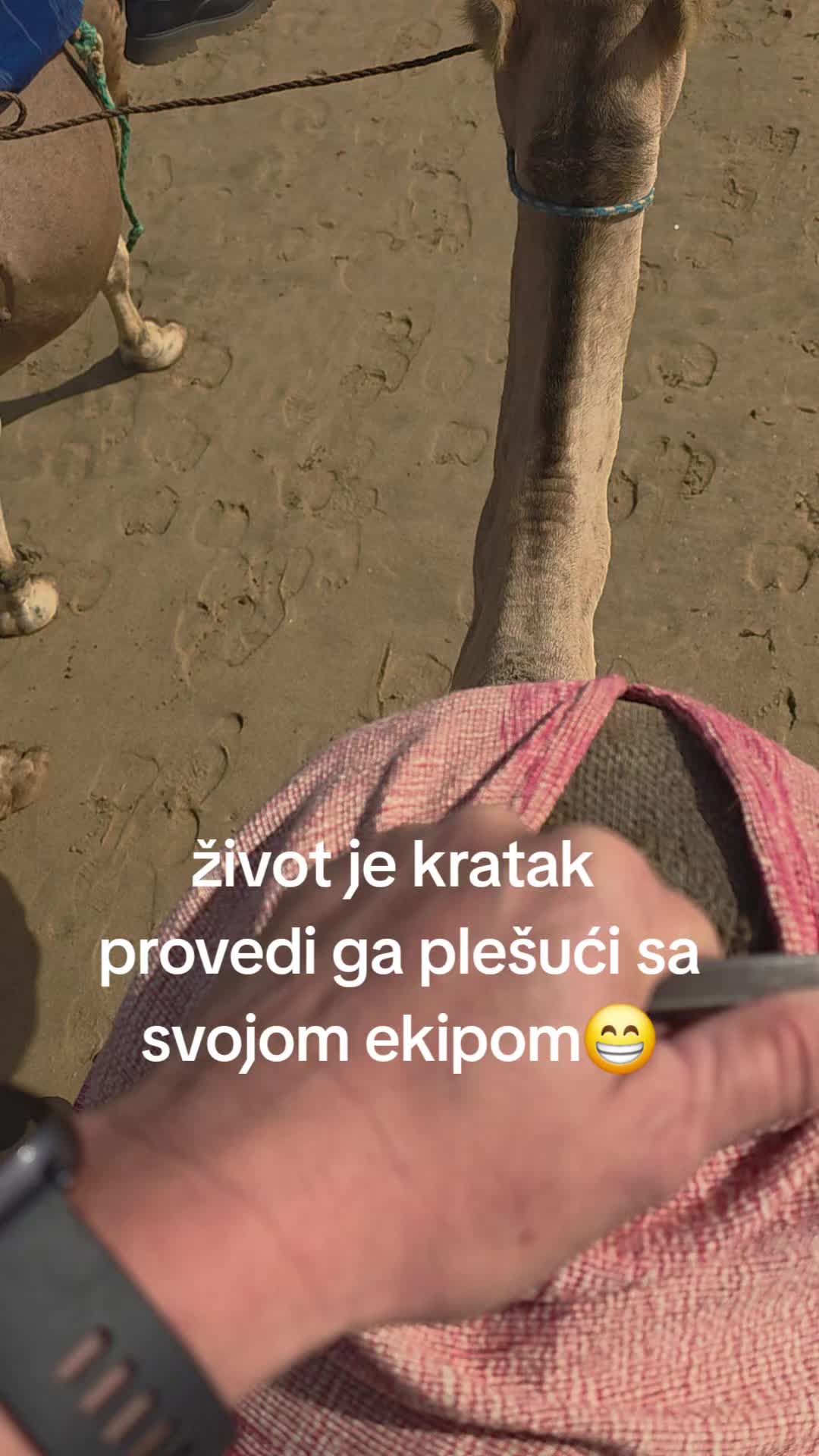 @✈️solo igračica✈️ 🥇 &reg;️