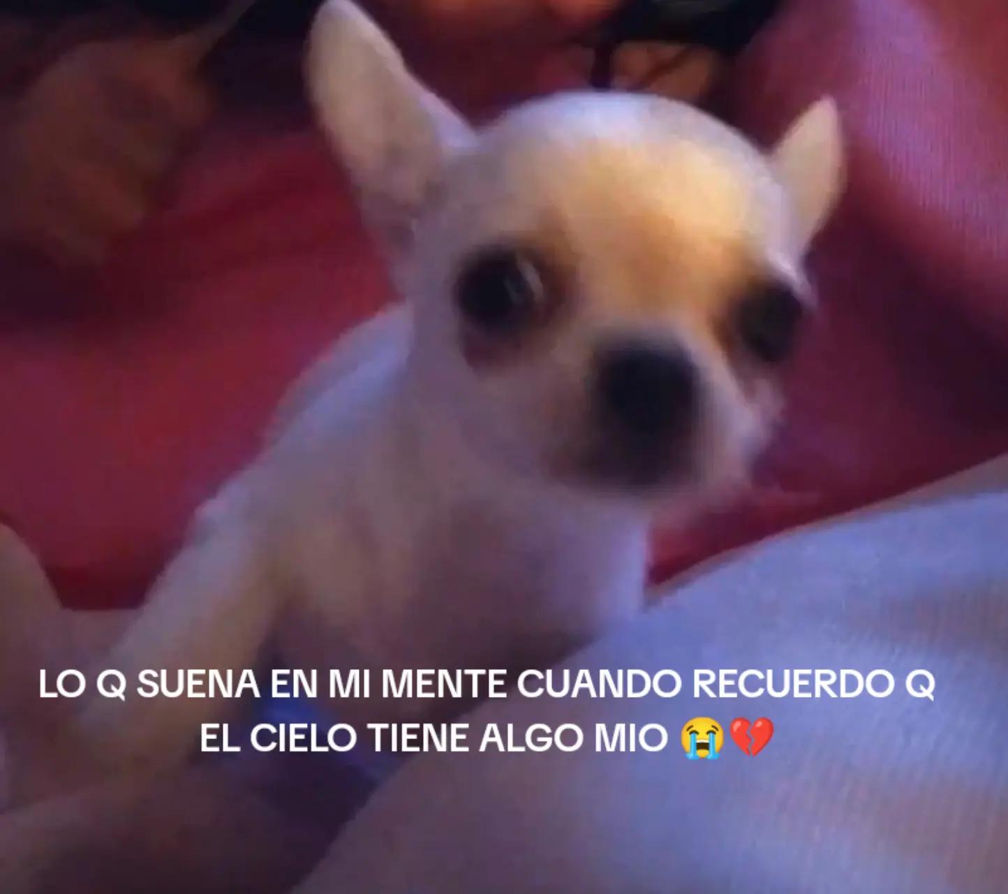 @belenngallegoo