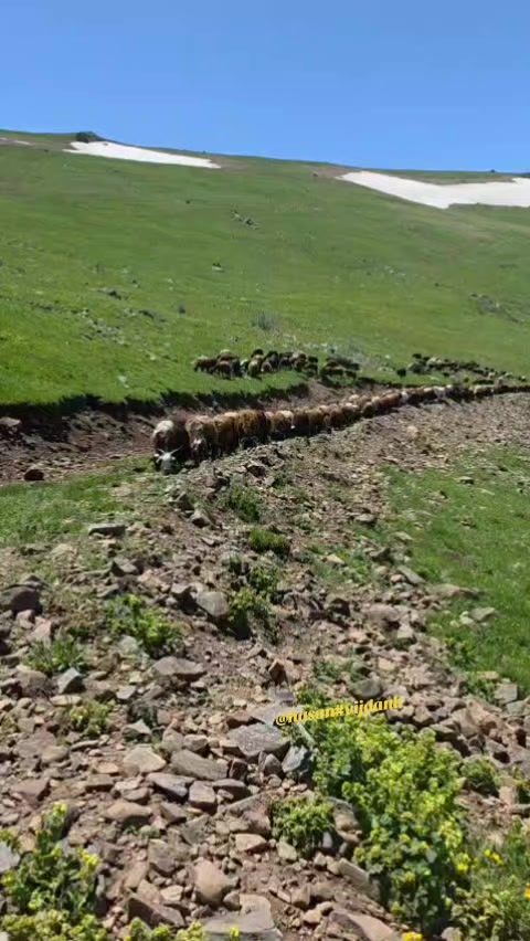 @Hasan Yılmaz