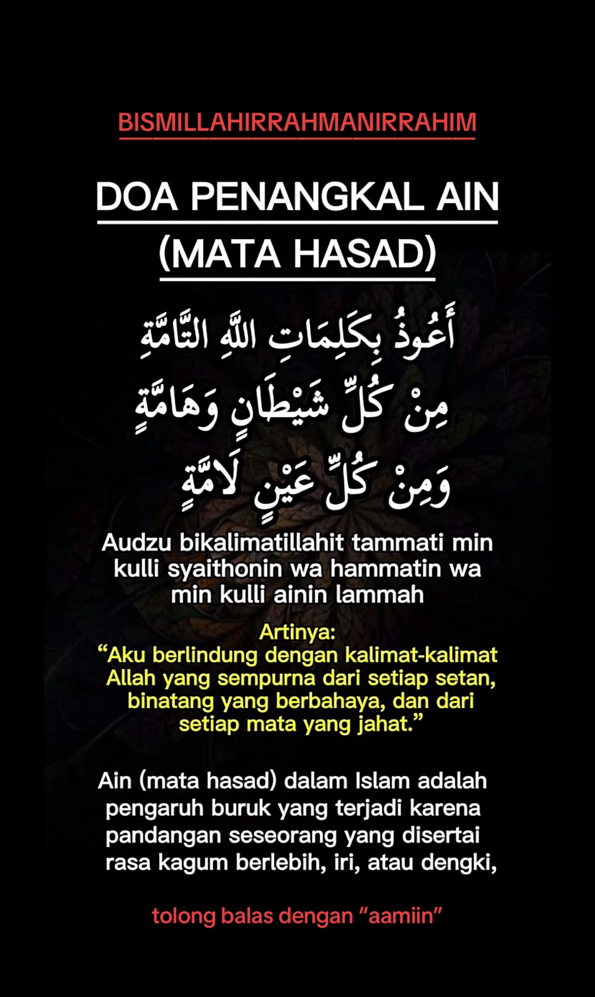 @Aiman SuLe
