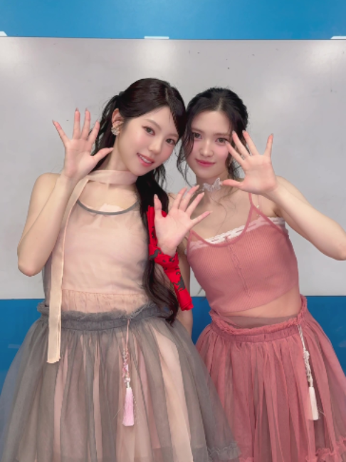 @dodree (도드리)