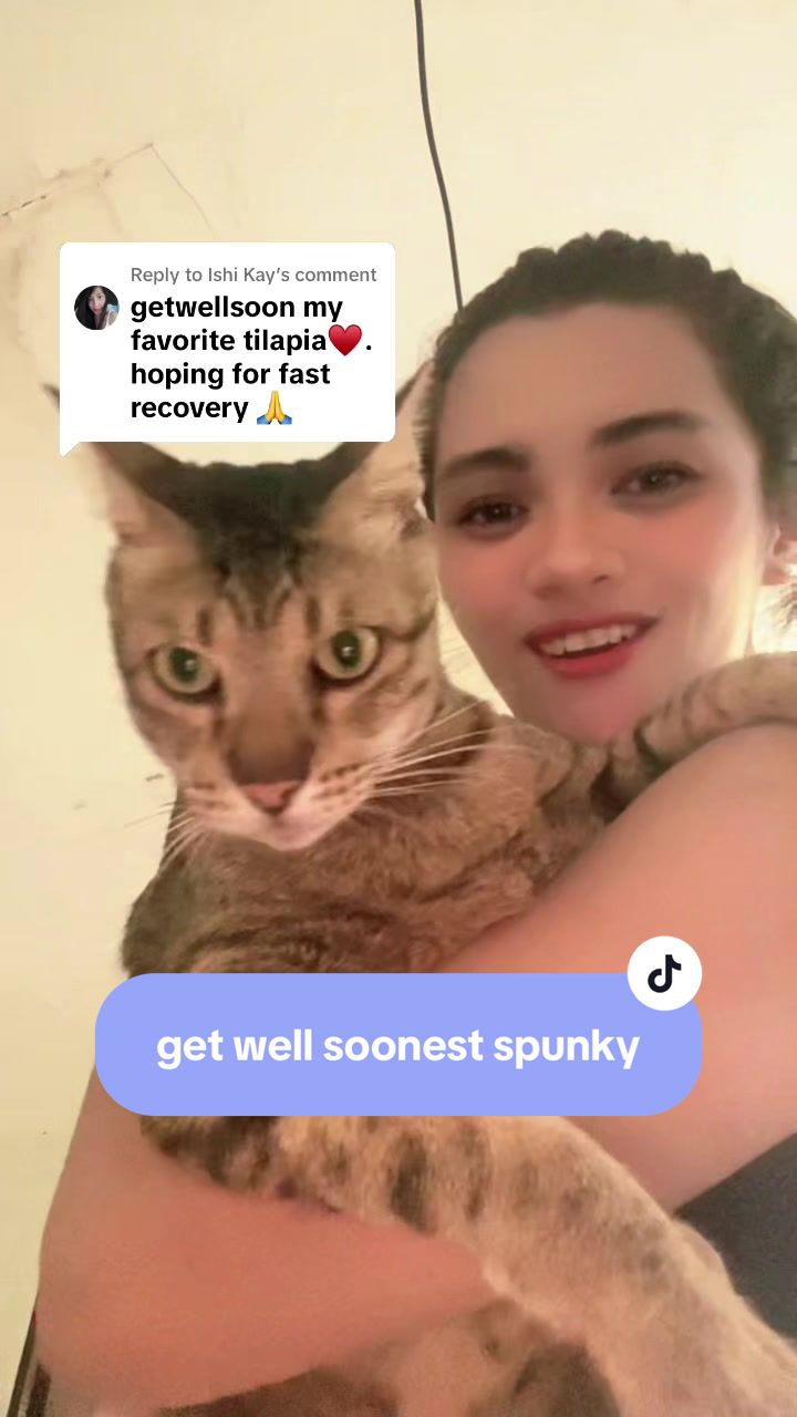 @17meows