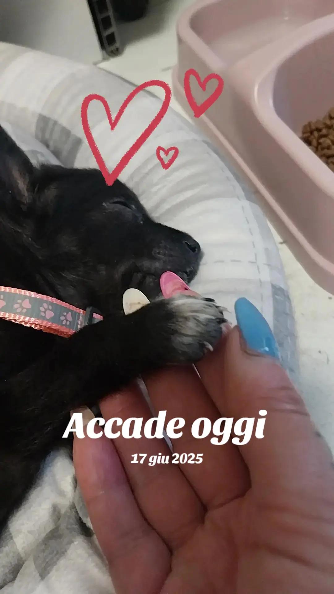 @Giuseppe e Francesca