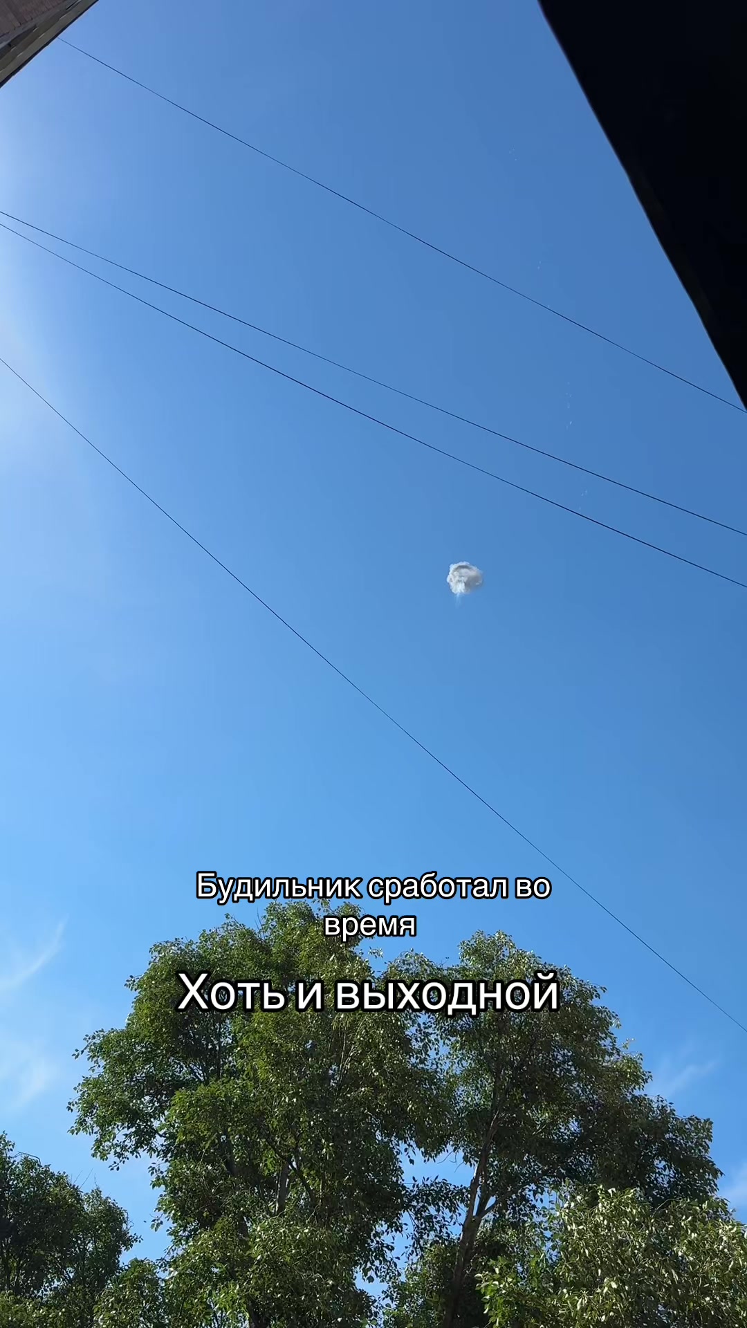 @Давид Гарибян