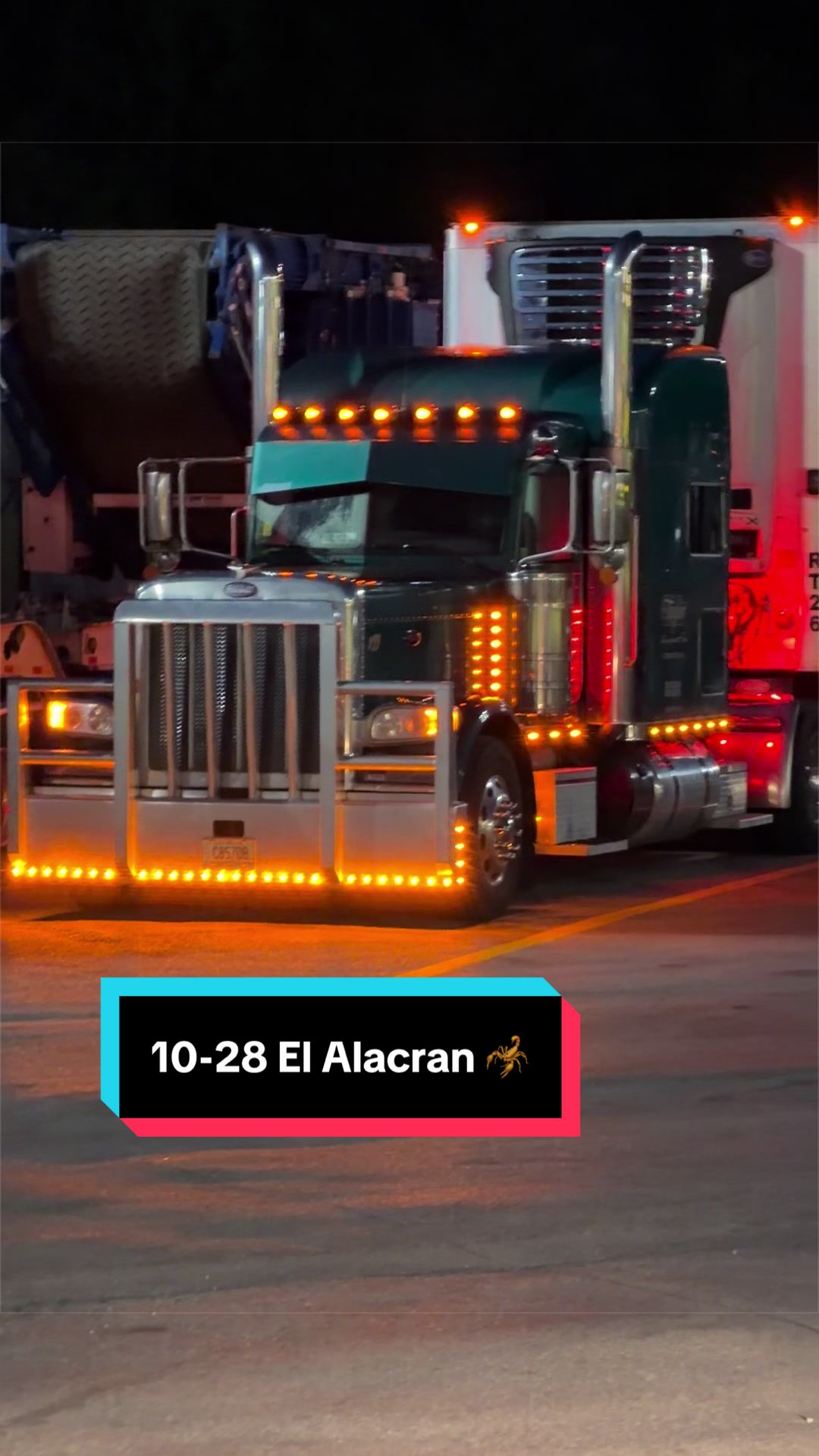 @ticktrockero10-28El Alacran 🦂