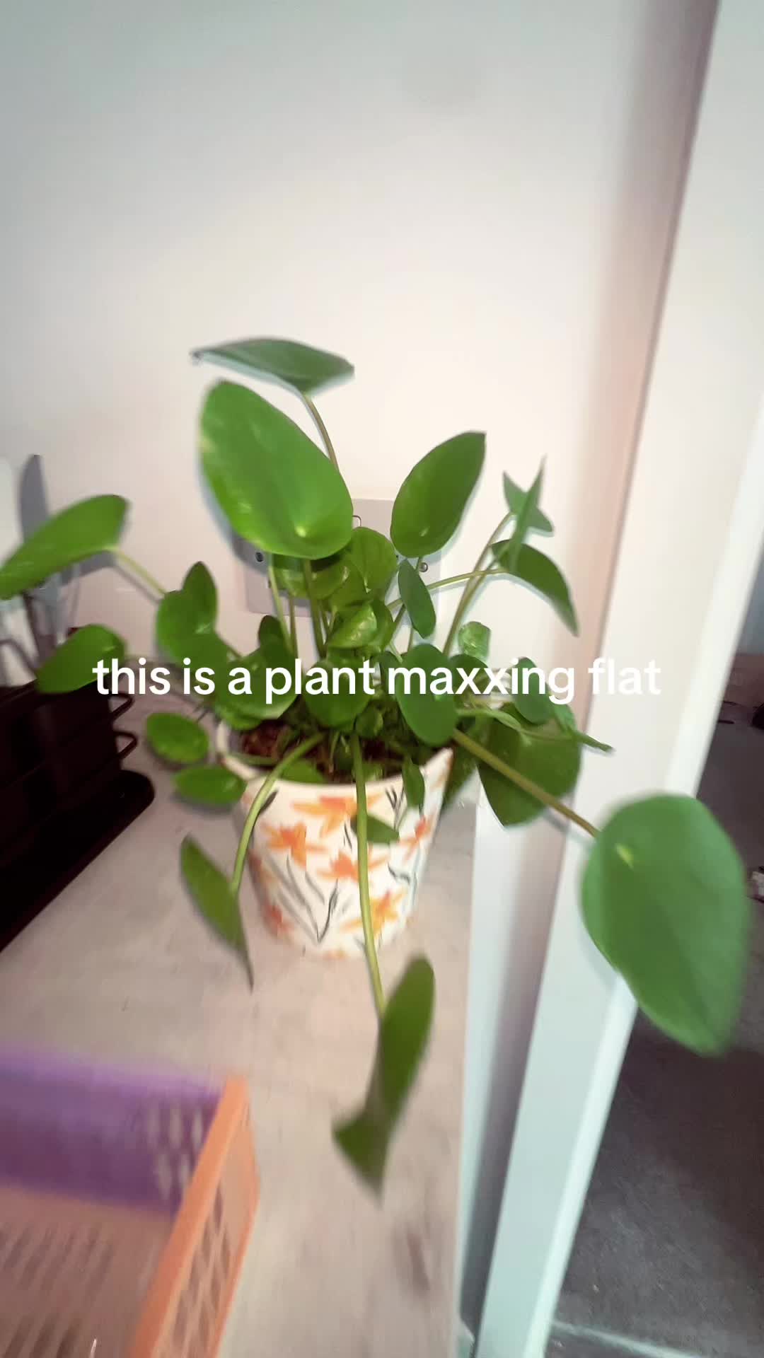@plsdontffindme