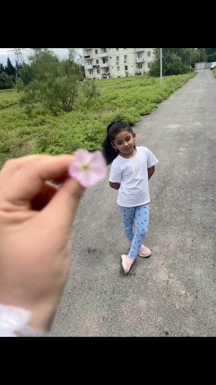 @melekbabym