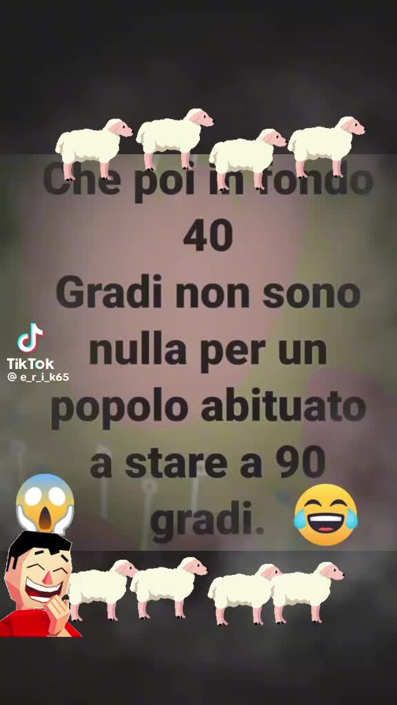 @universale