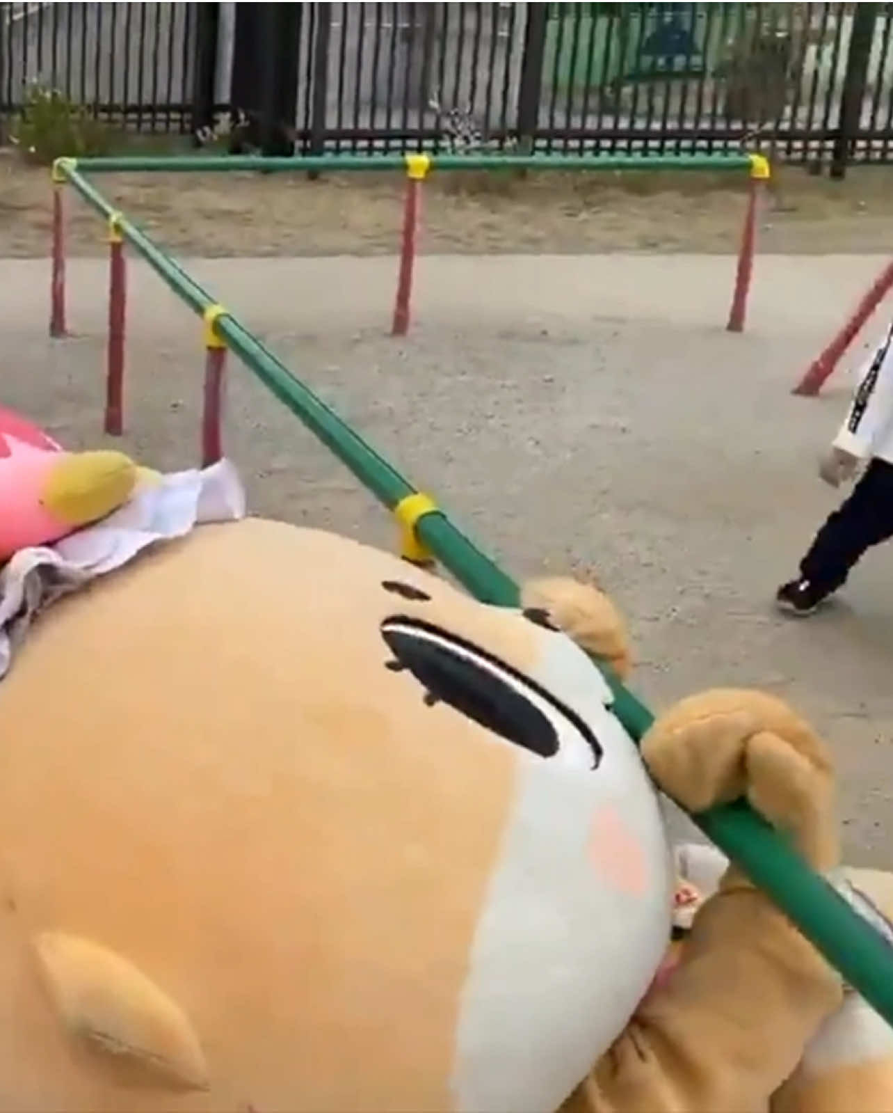 @ちぃたん☆/Chiitan☆