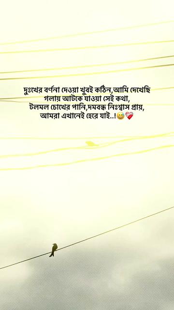 @the_spydoo🕸️ 🥏