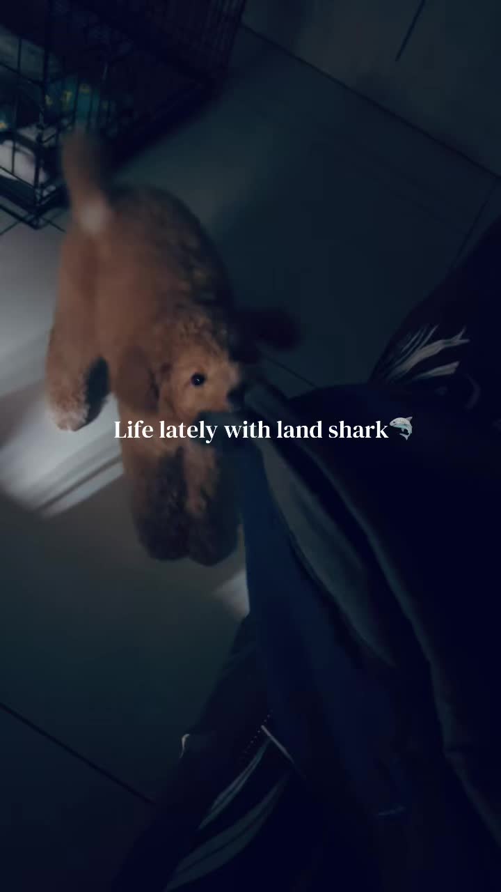 @𝓓𝓪𝓻𝓼𝓱𝓲𝓷𝓲🦦