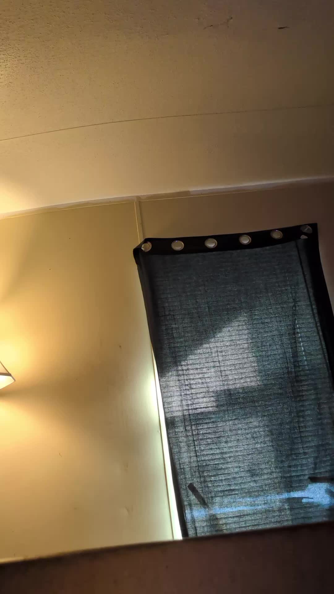 @invadergir616thejoker