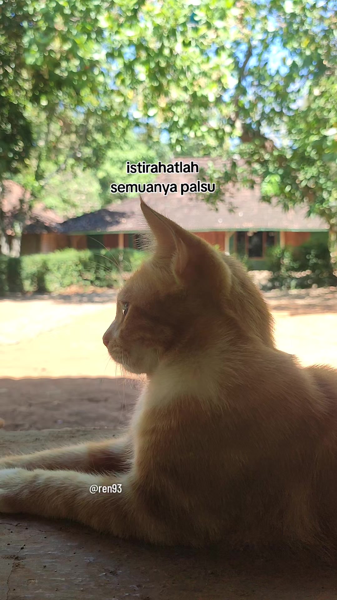 @Mas Ren