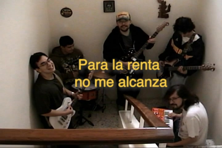 @cacomixtle