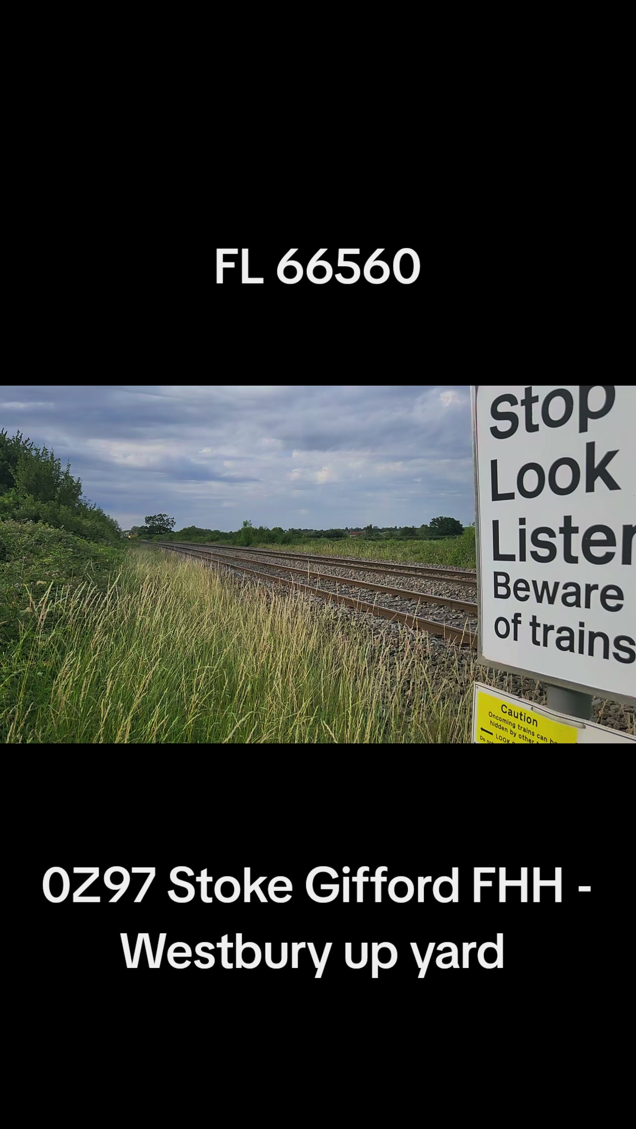 @buses and trains