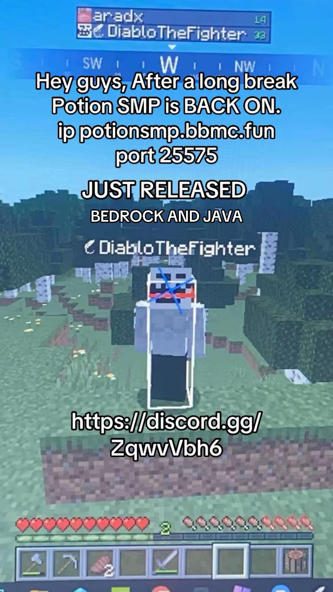 @Potion SMP