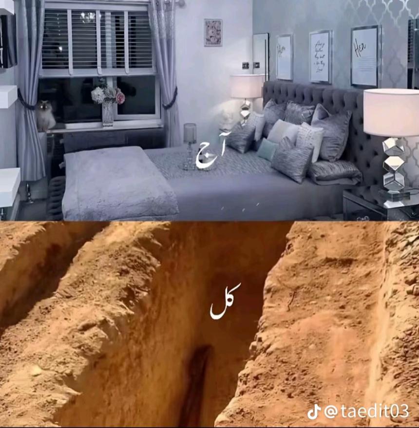 @mian80352