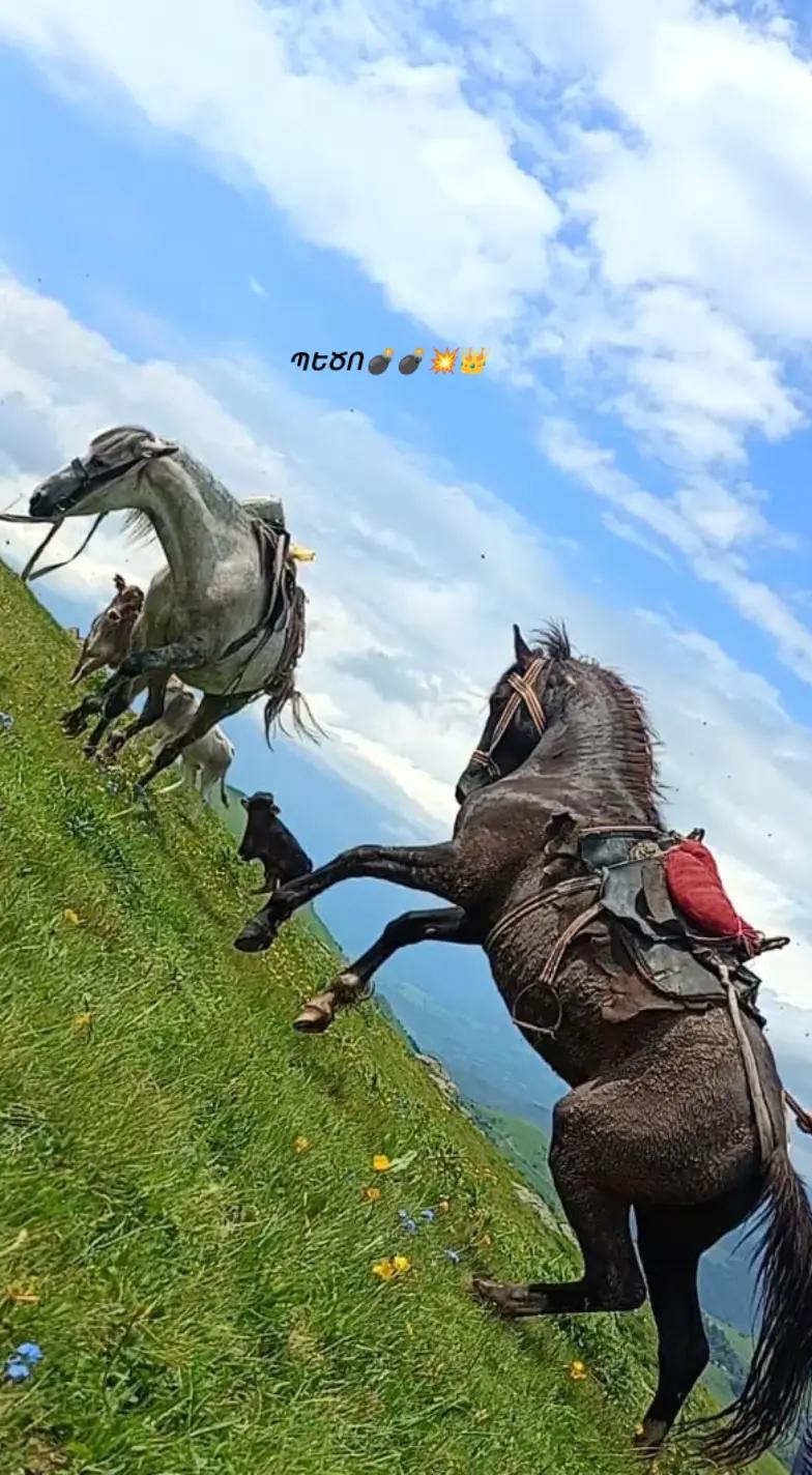 @Վաչե Գևորգյան