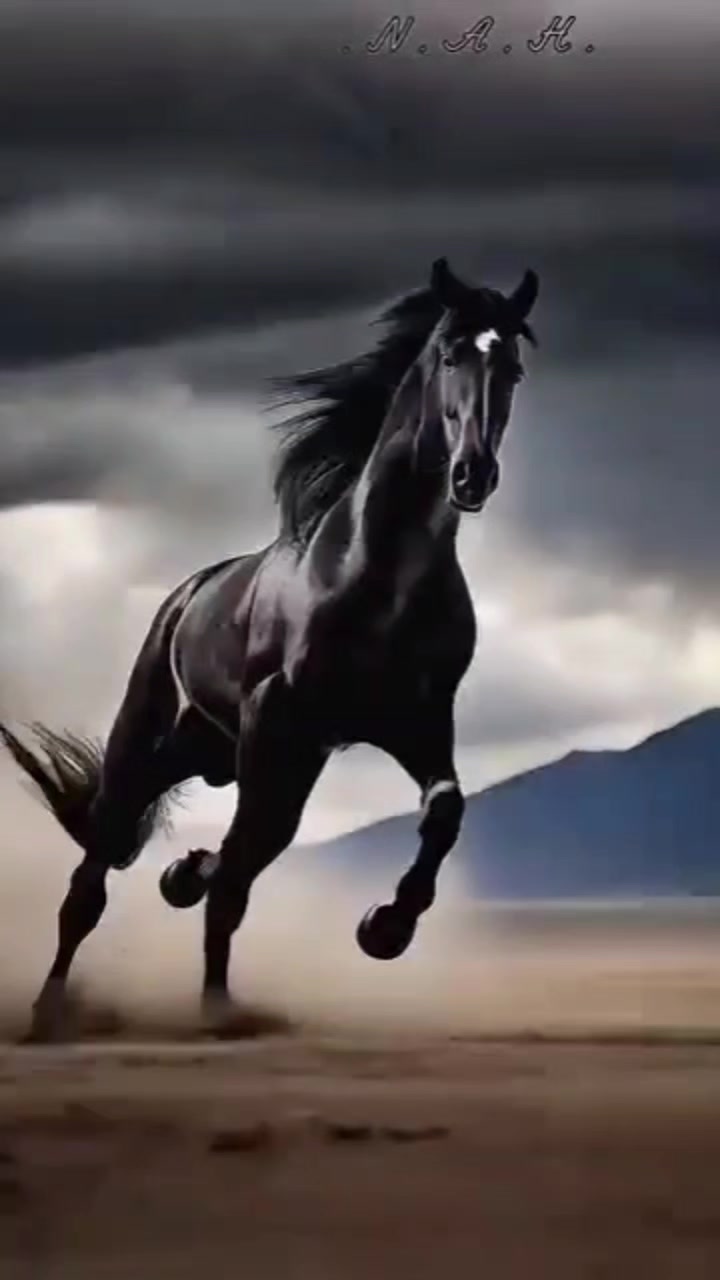 @M   T 0404 diyadin